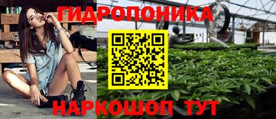 наркотики Камышлов