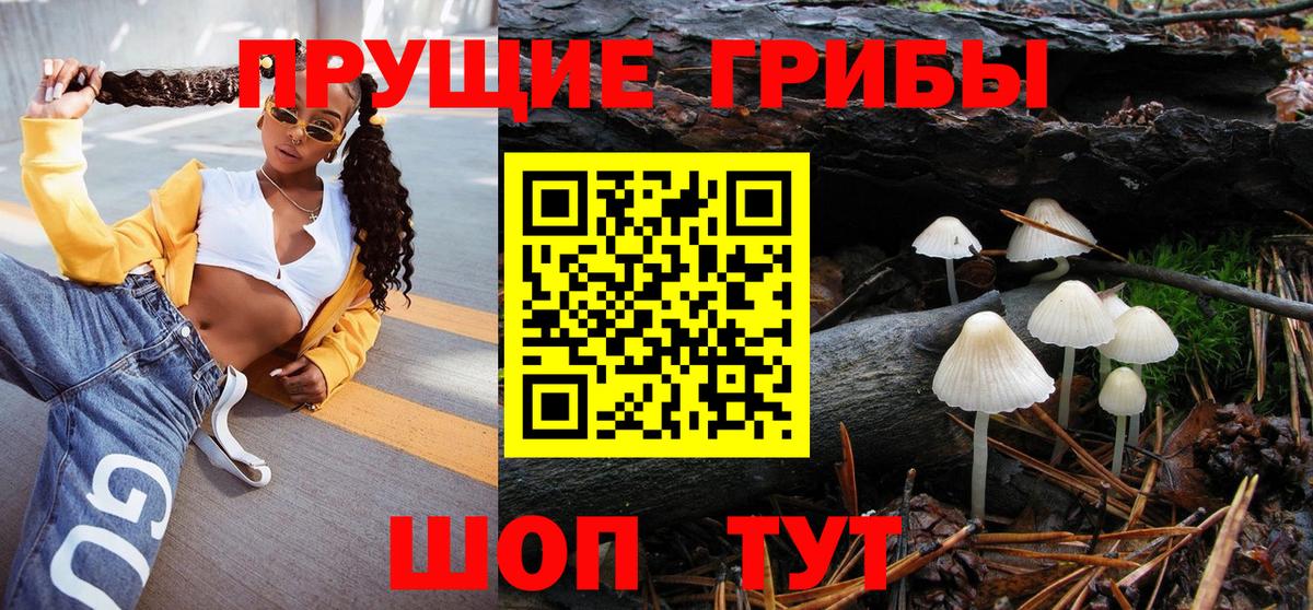 Кулебаки  Псилоцибиновые грибы ЛСД  Вход с VPN 